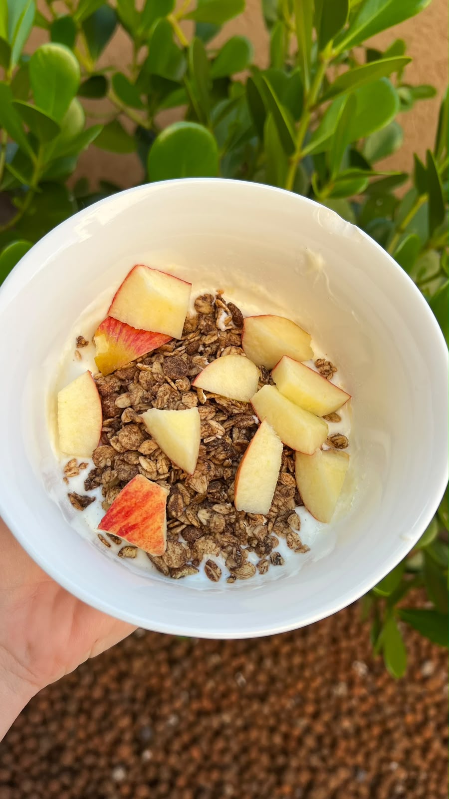 Pote de iogurte com granola e maçã picada